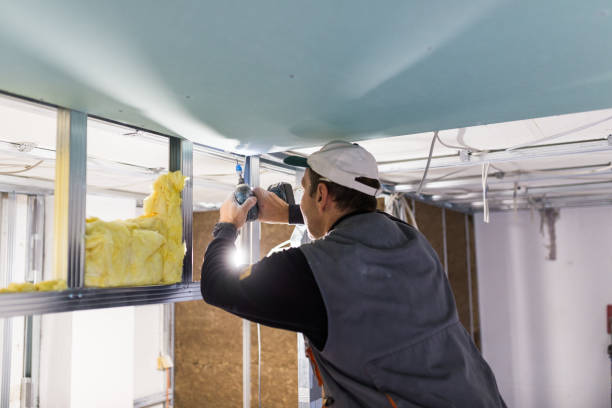 Best Soundproof Insulation Installation  in Fowler, CO