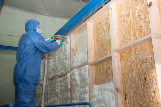 Best Insulation Removal  in Fowler, CO